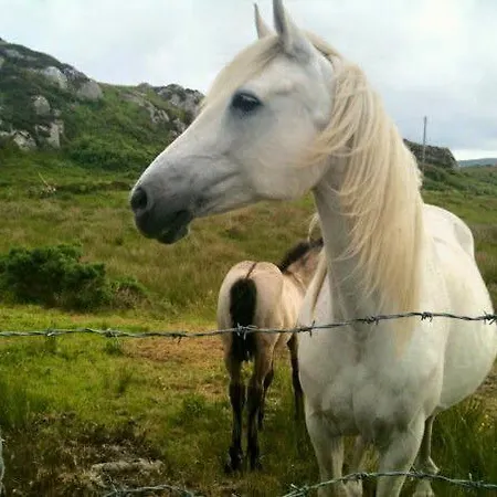 The Guest Wing At House