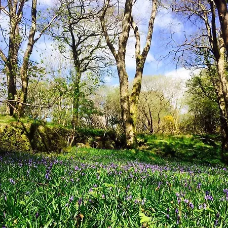 شقة The Guest Wing At House *