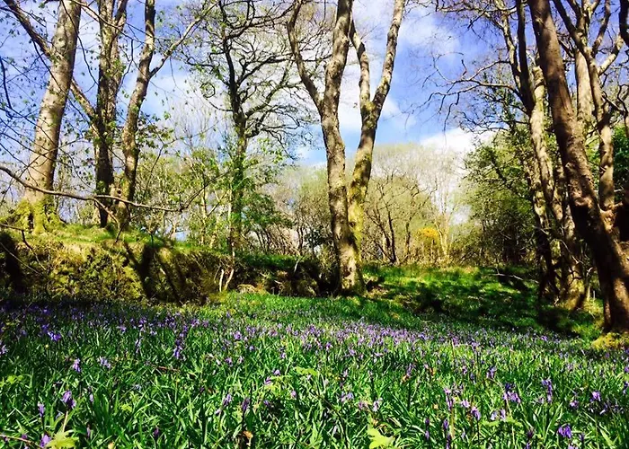 Apartmán The Guest Wing At House *